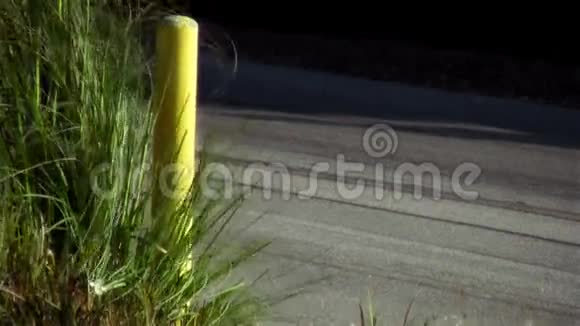 高高的草地在黄杆和街道旁边视频的预览图