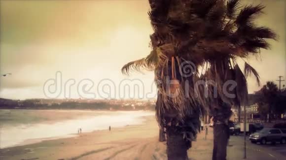 有高大棕榈树和风的超投海滩场景视频的预览图