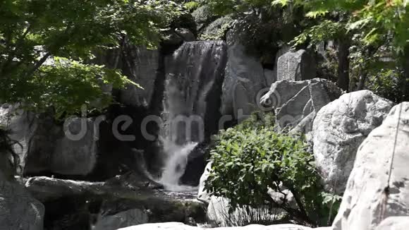 摩纳哥瀑布视频的预览图