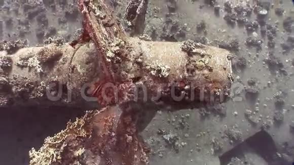关闭埃及海底沉船SalemExpress视频的预览图