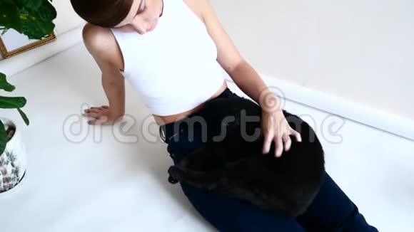 一个年轻漂亮的女孩正在她的公寓里休息一只黑猫坐在女人的怀里视频的预览图