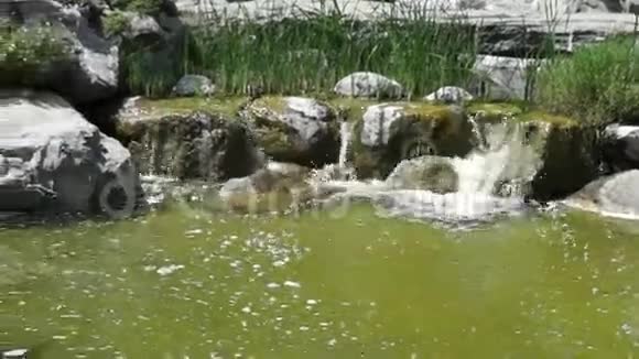 摩纳哥瀑布视频的预览图