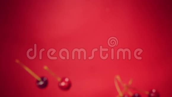 樱桃苍蝇在红色背景下飞行慢动作视频的预览图