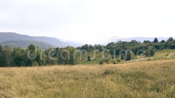 男孩在山上奔跑发射一条蛇风筝视频的预览图