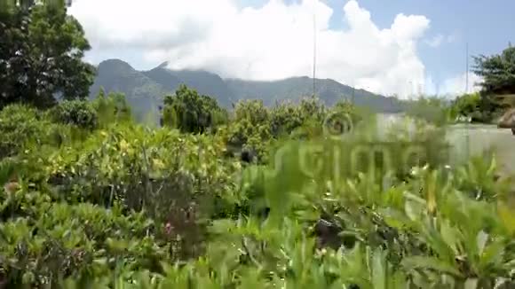 从高空透过山上热带树木的叶子俯瞰印度尼西亚巴厘岛视频的预览图