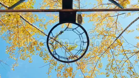 一个篮球球飞进篮里视频的预览图