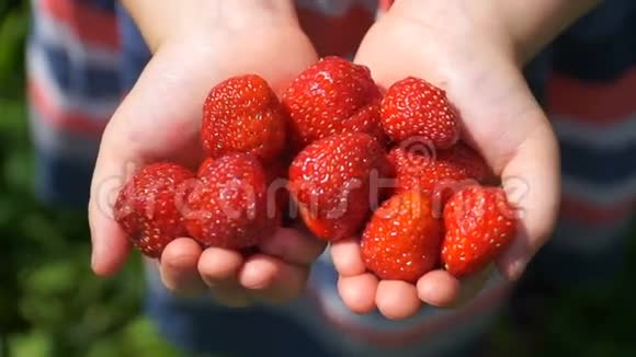 手里拿着一个多汁的草莓的摄影女孩视频的预览图
