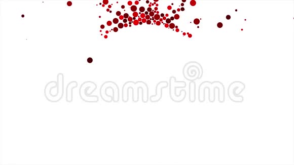 五颜六色的红色球落下来衬着白色的圆形动画不同大小的气泡或球体视频的预览图