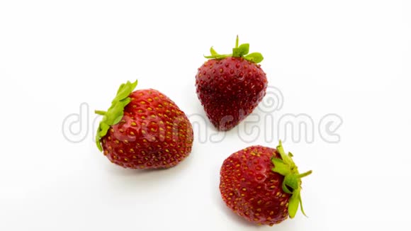 草莓在白色背景下腐烂的时间流逝视频的预览图