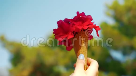 红色夏日花束华夫饼筒视频的预览图