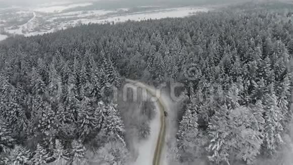 冬天开车穿过雪松林视频的预览图