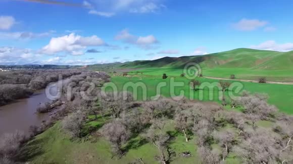 空中直升机拍摄的绿色田野和河流视频的预览图
