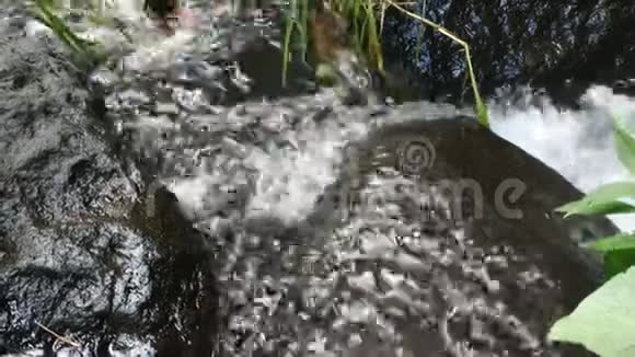 Madakaripura水倒河水流视频的预览图