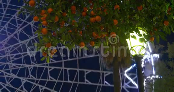 曼丁树夜光摩天轮乘4k西班牙视频的预览图
