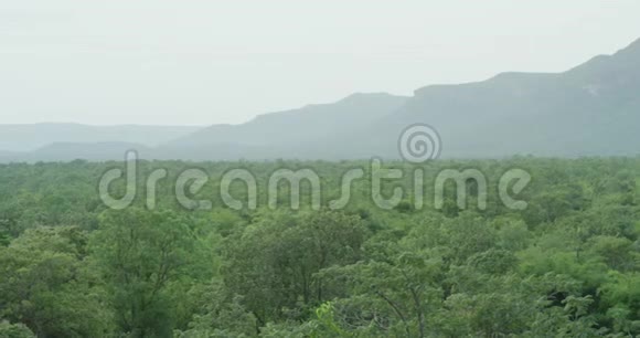 山岭热带植被景观雾霭背景大山岭背景视频的预览图