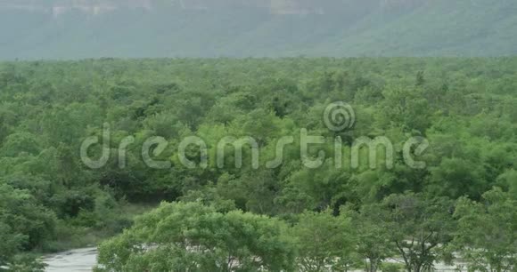 山岭热带植被景观雾霭背景大山岭背景视频的预览图
