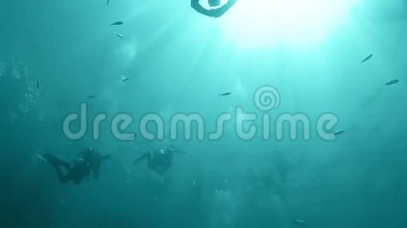 潜水员小组潜水视频的预览图