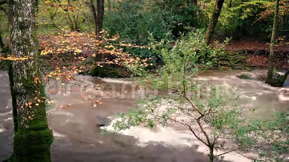 伍德兰的完整断河堤视频的预览图