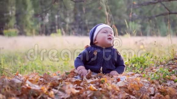 在森林里的孩子秋天的落叶视频的预览图