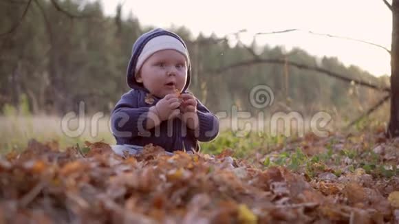 在森林里的孩子秋天的落叶视频的预览图