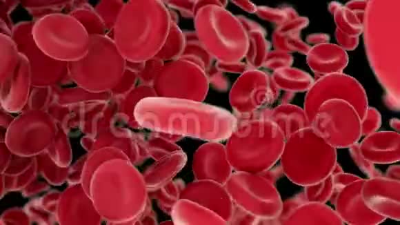 血液细胞在黑色背景下穿过动脉视频的预览图