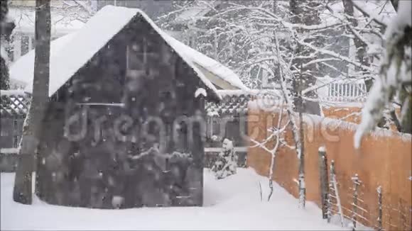 雪冬天下雪视频的预览图