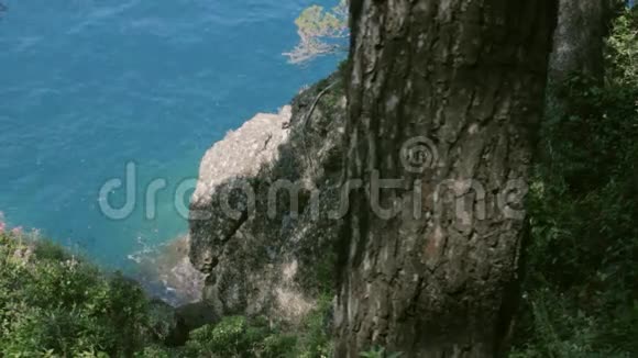 意大利波尔图菲诺国家公园野生蔚蓝海岸视频的预览图