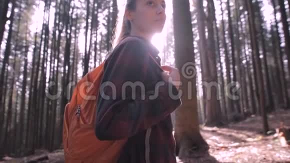 在松树林的小径上散步的女徒步旅行者视频的预览图