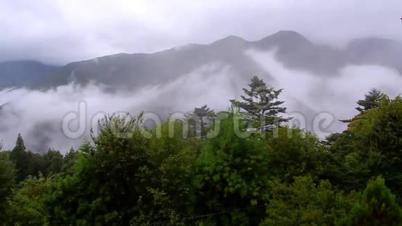 雾在山上米苏明很漂亮视频的预览图