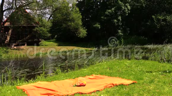 女孩坐在橙色的地毯上水果葡萄梨花瓶靠近流动的河流视频的预览图