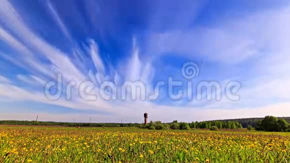 白云在蒲公英的田野上模糊了视频的预览图