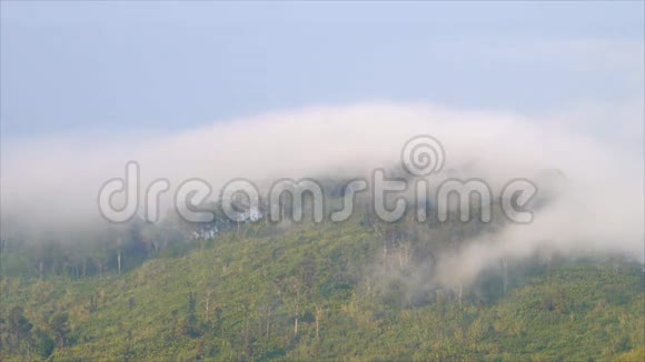 薄雾从山上流过视频的预览图
