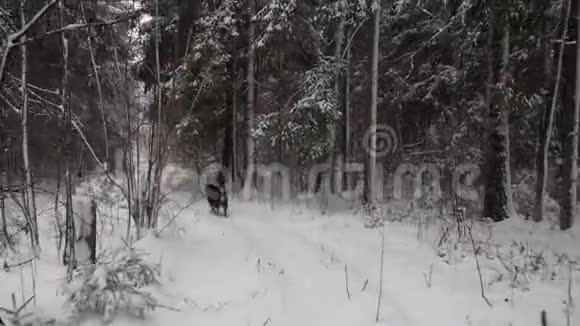 冬季景观白雪覆盖的田野视频的预览图