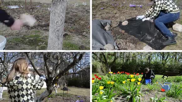 春季园林作品女园丁剪辑拼贴视频的预览图
