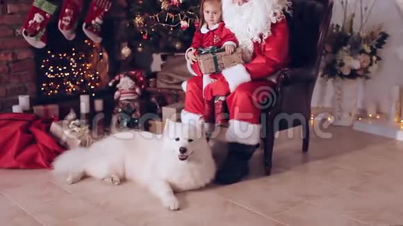 坐在圣诞老人手中的小女孩靠近圣诞树视频的预览图
