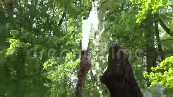 庄园公园有喷水喷泉和起重机雕塑视频的预览图