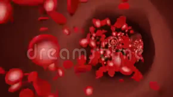 血液中漂浮的红细胞视频的预览图