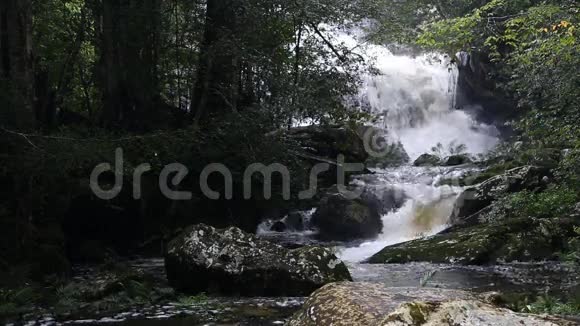 PhuKradueng国家公园Ponpobmai瀑布泰国洛伊省视频的预览图