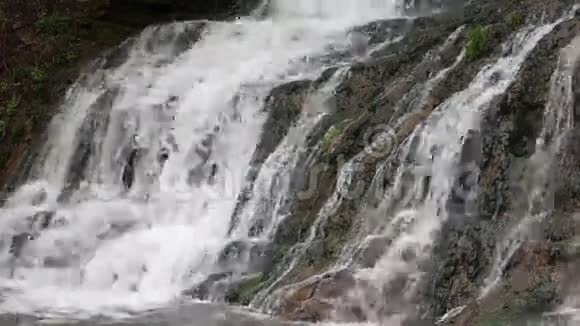 泉Dzhurynskyi瀑布视频的预览图