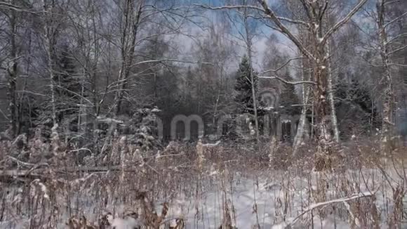 冬季景观白雪覆盖的田野视频的预览图