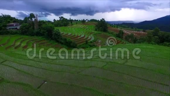 泰国清迈梅柴姆邦培梯田视频的预览图