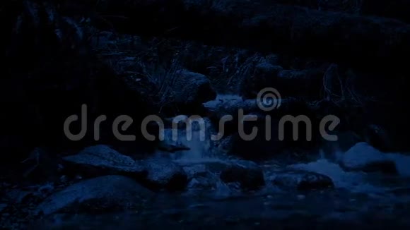 夜游森林溪视频的预览图