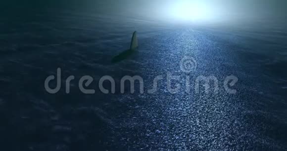 两条鲨鱼游泳的水下场景视频的预览图