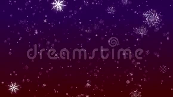 飘落的雪花紫红色的循环视频的预览图