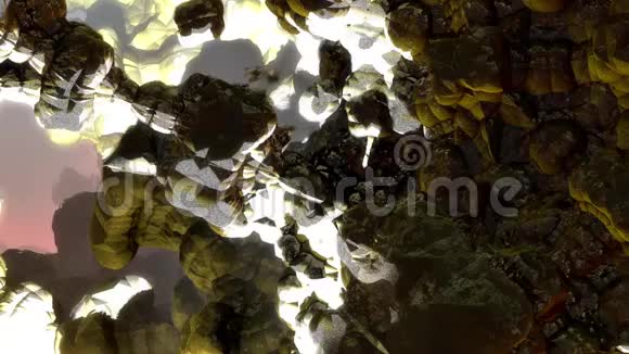 美丽的风景岩石雪清新的绿色自然的水野生的抽象的无缝的视频的预览图