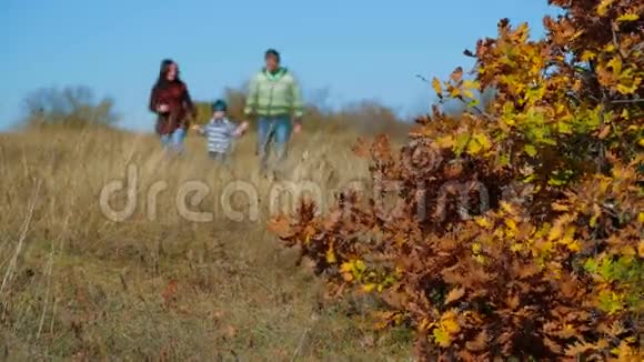 一家人在秋草甸散步视频的预览图