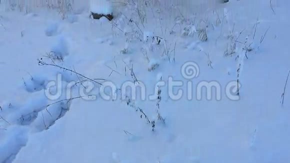 摄像机从下面向上升起在冬天移除被摧毁的仓库视频的预览图