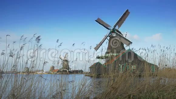 在扎安斯山转风风车荷兰4K视频的预览图