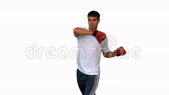 拳击手在白色屏幕上高踢球视频的预览图