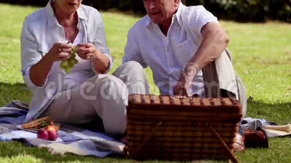 一对老人在野餐时吃葡萄视频的预览图